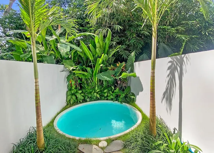 Palm * Canggu (Bali)