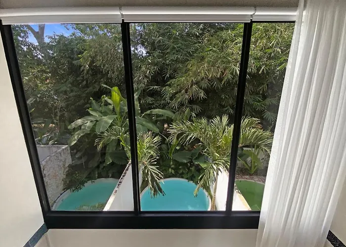 Palm *