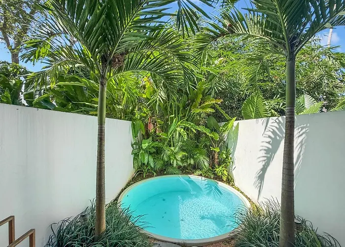 Palm Canggu (Bali)